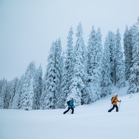(Foto: © Marc Welschinger) Skitour Chrüz