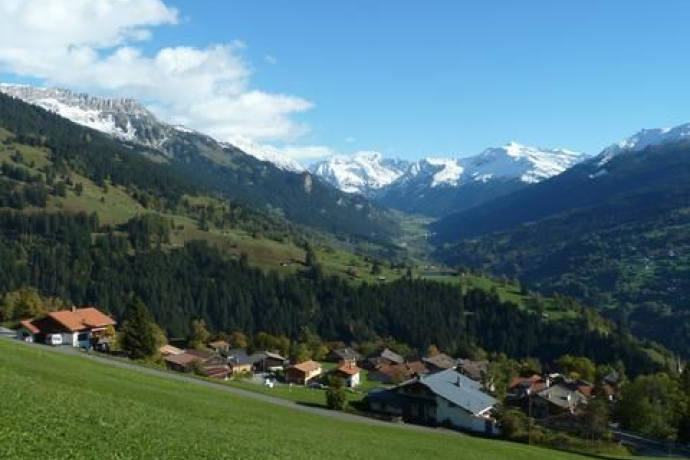 Pany_Sommer Pany_Sommer